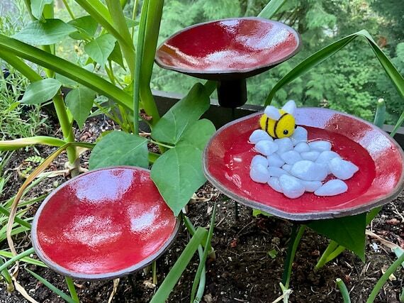 Birdbath (1 pc), Bee Bath, Bird feeder, Garde...