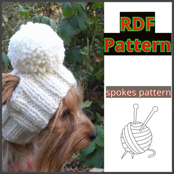 Hat Dog PATTERN, pet dog pattern, Dog Hat Clo...