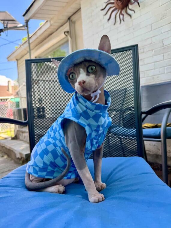 SPF Sphynx Cat Shirt: UV 50+ Sun Protection i...