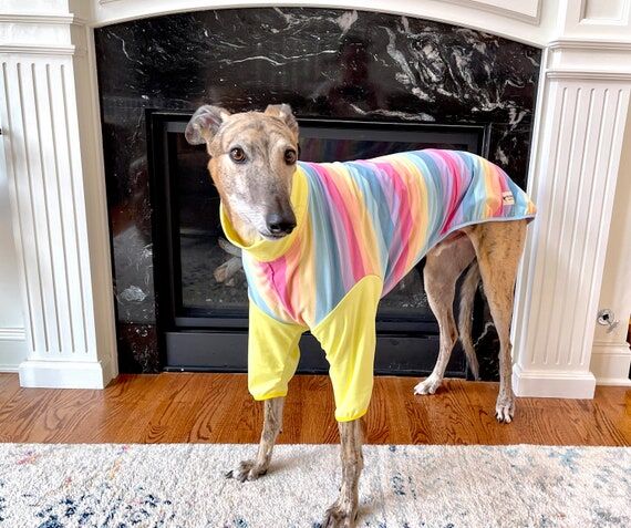 2-Sleeved Style Greyhound Pajama...