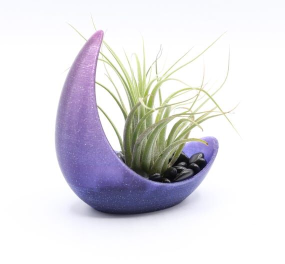 Half Moon Air Plant Display, Crescent Moon Pl...