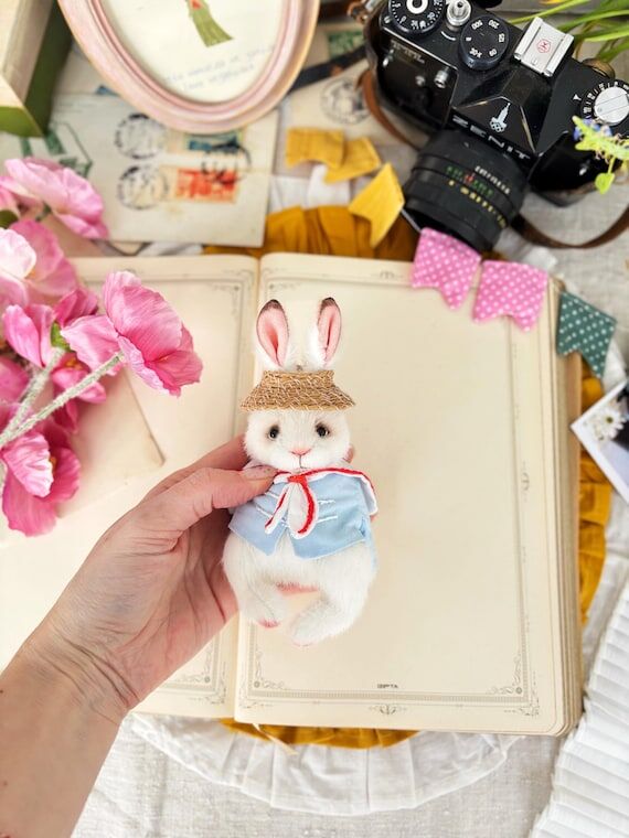 White rabbit .Bunny . Rabbit named Teo. Sailo...