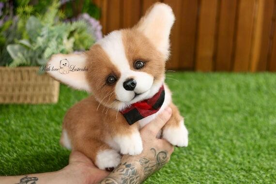 Corgi Puppy Peanut. Realistic Stuffed pet. Pl...