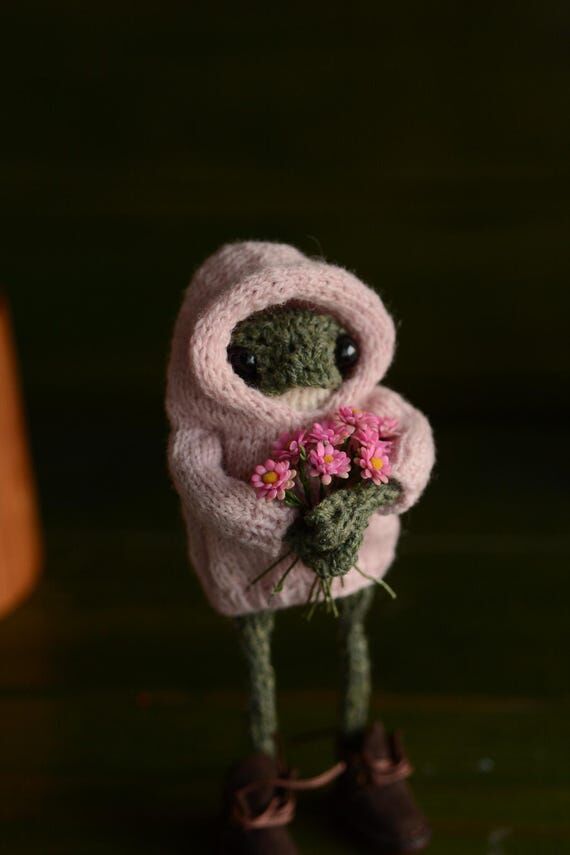 Cute Knitted Frog Wearing a Hoodie - Adorable...