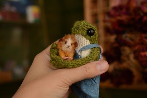 Handmade Knitted Frog Plushie with Guinea Pig...