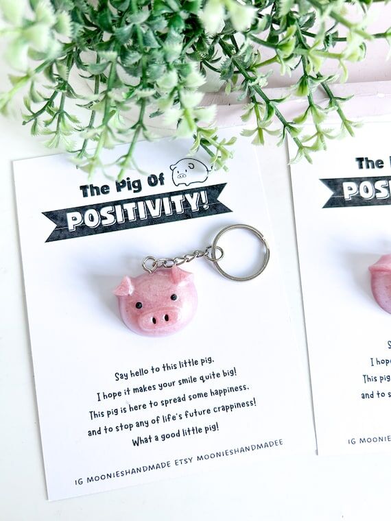 Pig Keyring, Positive Gifts, Mental Health Gi...