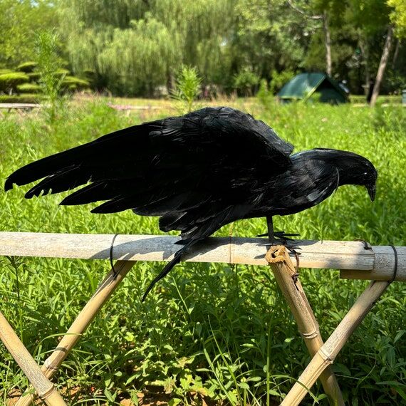 Realistic Black Feathered Crow Sculpture Figu...