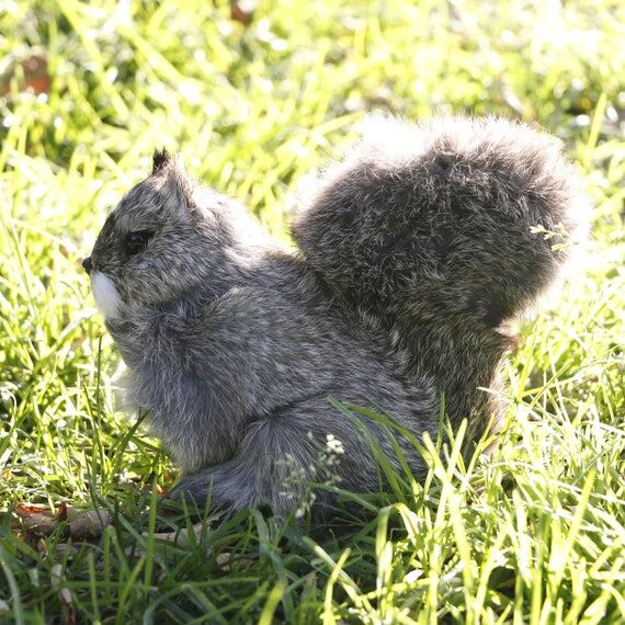 Realistic Squirrel Gray Animal Taxidermy Mini...