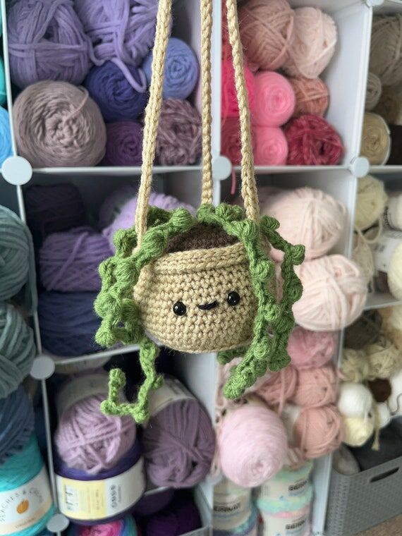Crochet String of Pearls Hanging Plant: Boho ...
