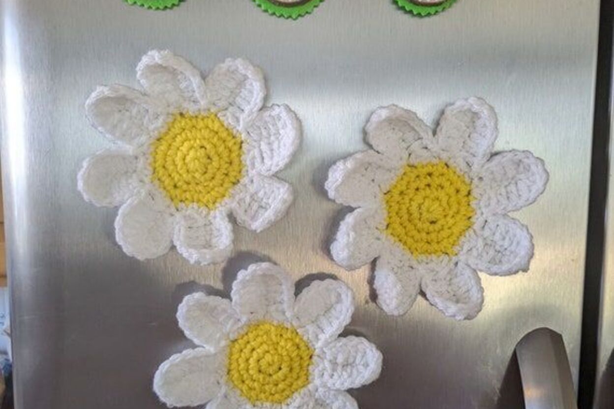 Daisy Dream Flower Farm