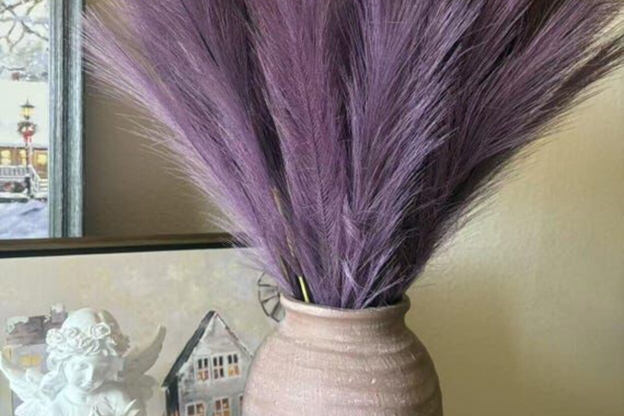 Auroria Atelier