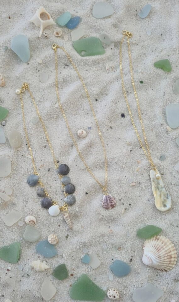 Natural Seashell Pendant Necklace, Gold Tone ...