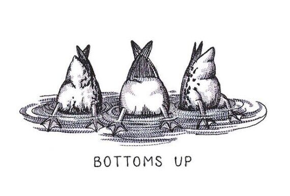 Duck bottoms up, Embroidered kitchen terry wa...