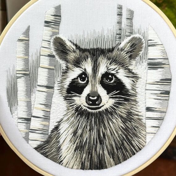 Raccoon Embroidery Kit for Cozy Nights, Stitc...