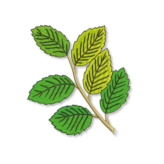 Machine embroidery leaf designs, Machine embr...