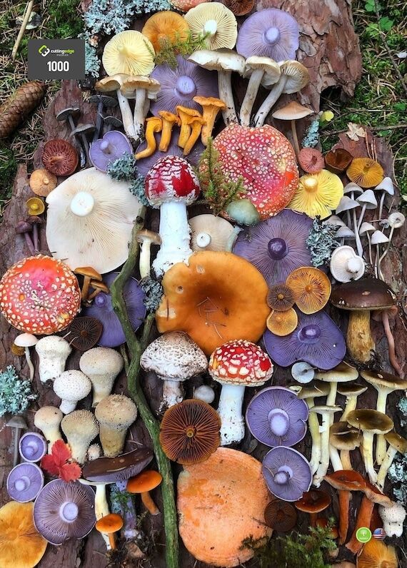 Mushroom Magic Jigsaw Puzzle, Foraged Fungi C...