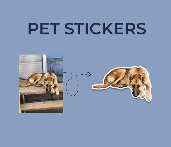 Custom Pet Stickers – Personalized Vinyl St...