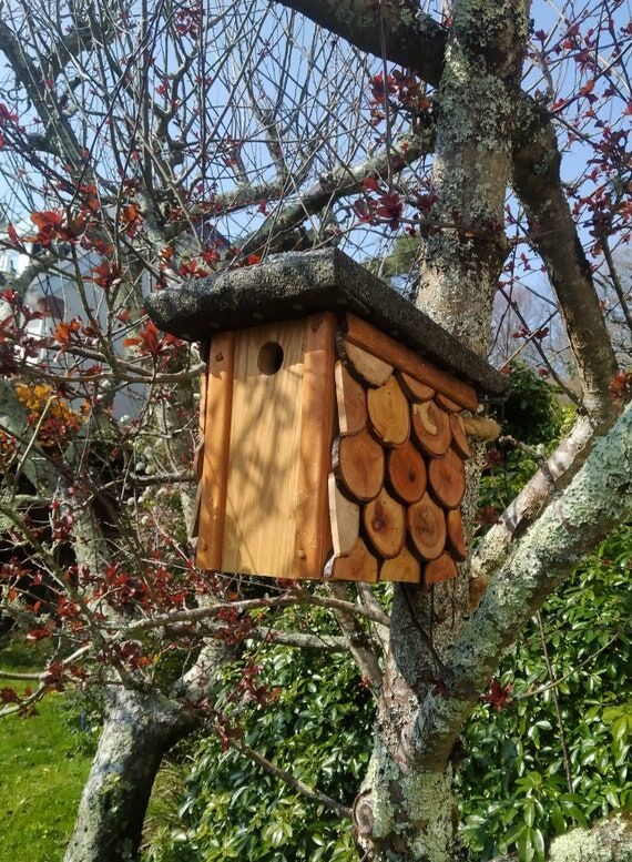 Handmade Wooden Bird Box: Artisan Garden Bird...