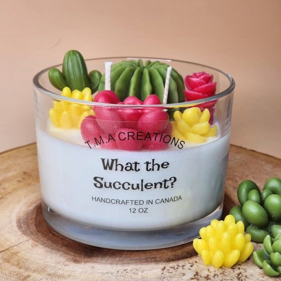 Succulent Candle: Natural Soy Wax, Entryway H...