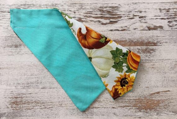 Sunflower Dog Bandana Over the Collar, Fall H...