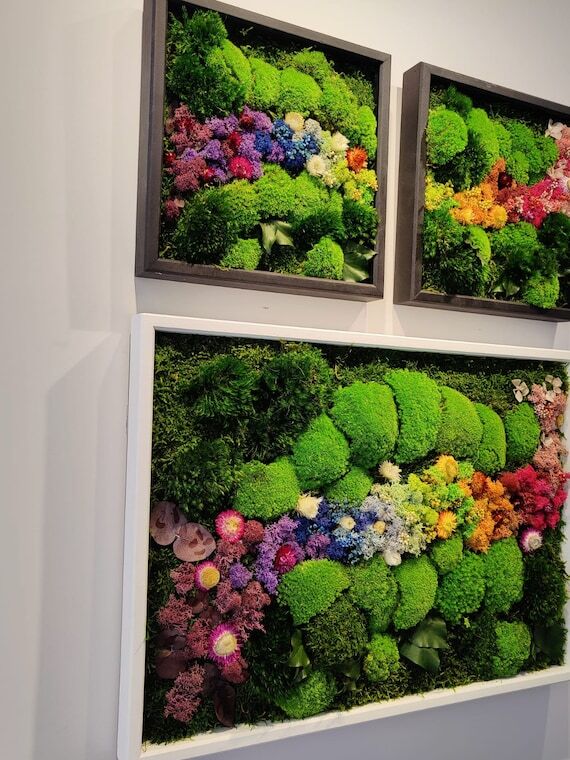 Live Moss Wall Art: Biophilic Eco-Friendly Ho...