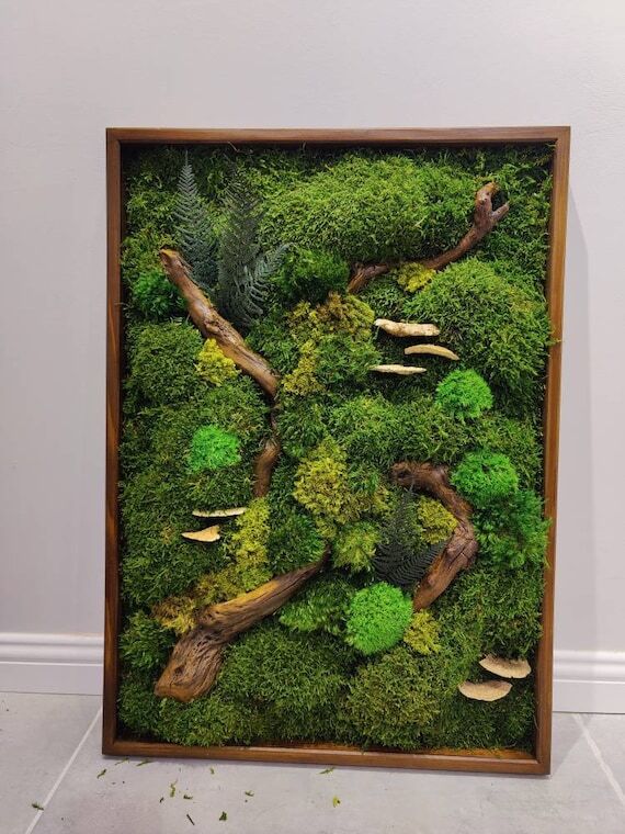 Framed Moss Wall Art: Natural Wood & Preserve...