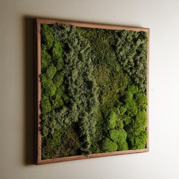 Square Moss Wall Art – Handmade Preserved G...