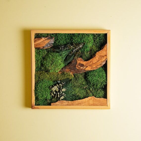 Custom Made Moss Wall Decor, Preserved Stabil...