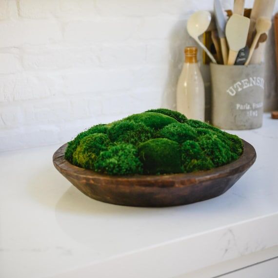 Preserved Moss Arrangement, Homeware in Round...