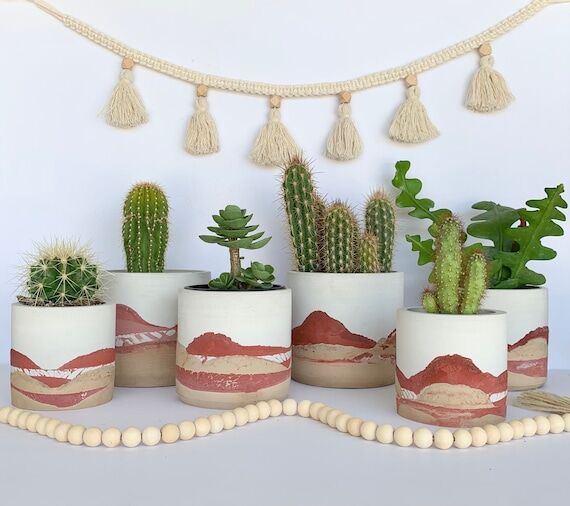 Handmade Concrete Plant Pot: Desert Inspired ...
