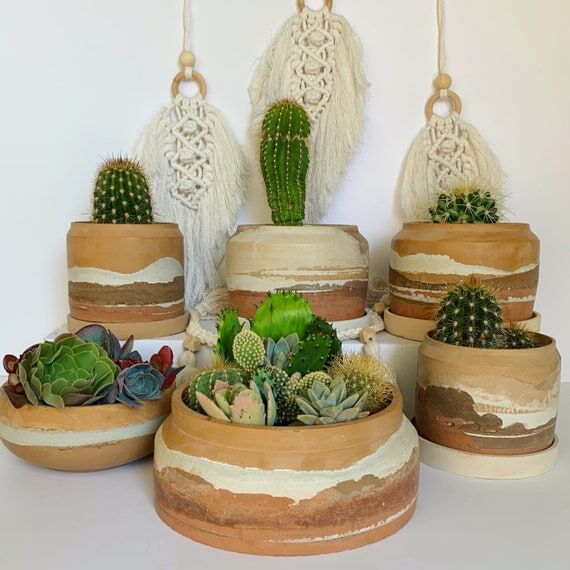 Handmade Concrete Plant Pot: Desert Mountain ...