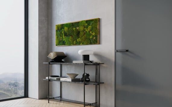 Lush Preserved Moss Art – Barn Wood Frame, ...