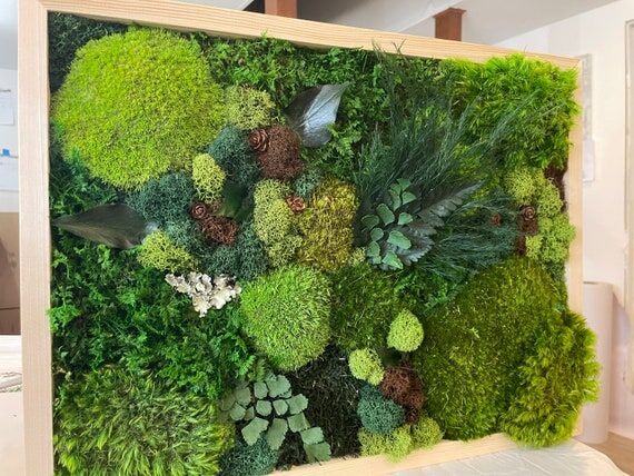 12x16” Preserved Moss Art: Lush Handmade Ho...
