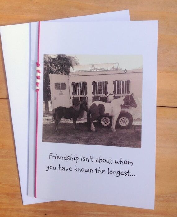 Friendship Card – Horse Photo Greeting Card...
