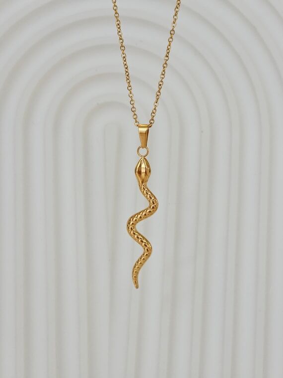 Stainless Steel Dainty Snake Necklace Serpent...