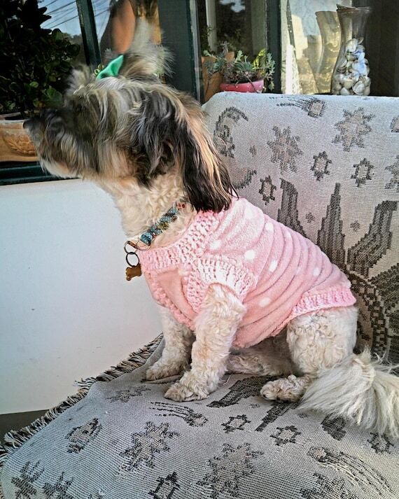 DIY Easy Crochet and Fabric Dog Sweater Vest ...