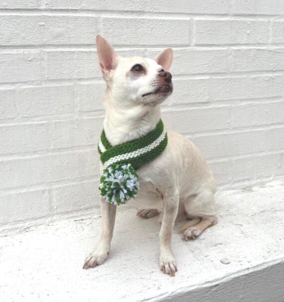 Philadelphia Eagles DOG CAT Pet Collar Scarf ...