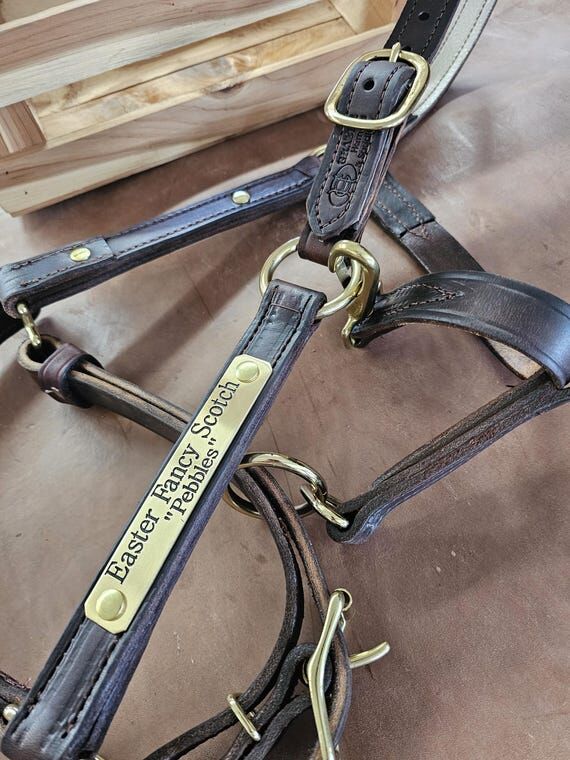 Engraved Heavy Brass horse-Halter-Name Plate:...