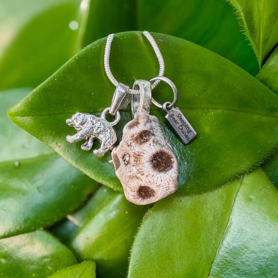 Summer 019: Petoskey Stone + "Sleeping B...