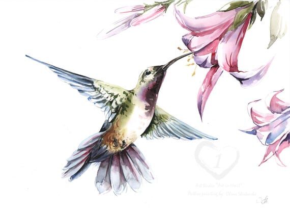 Hummingbird Original Watercolor Painting Hand...