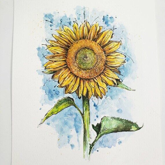Kansas Sunflower- Original Watercolor Illustr...