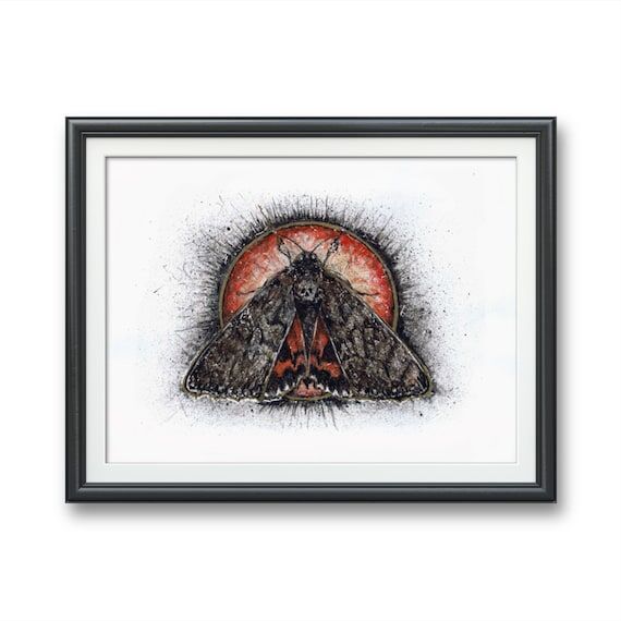 Death Head Moth- Original watercolor Cecropia...