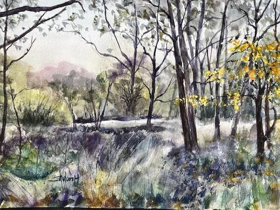 Original Watercolor Painting, Forest Landscap...