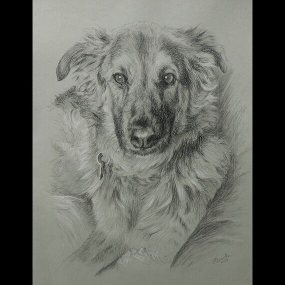 Pet portrait custom, Dog portrait drawing, Do...