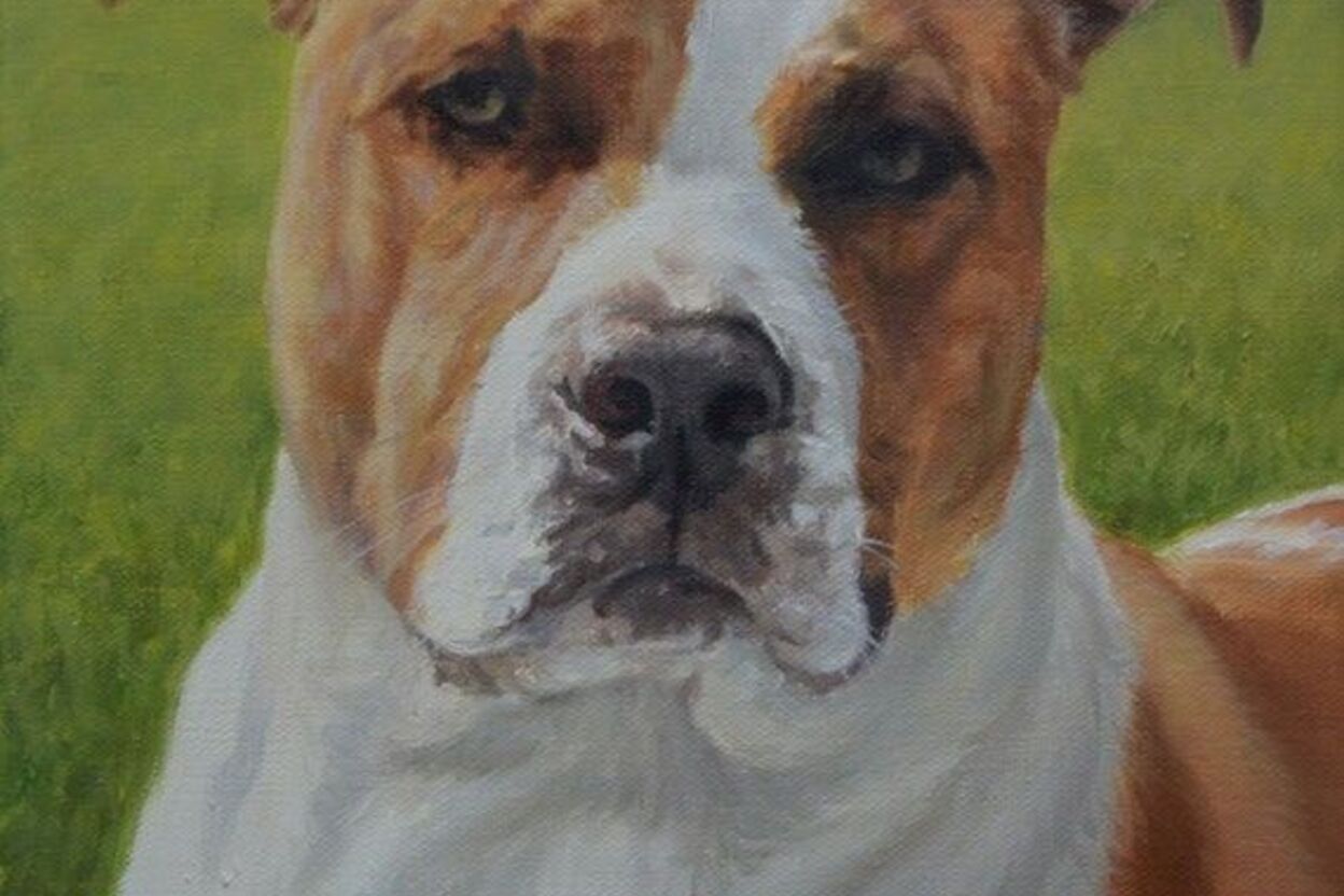 Finest Oil Paintings