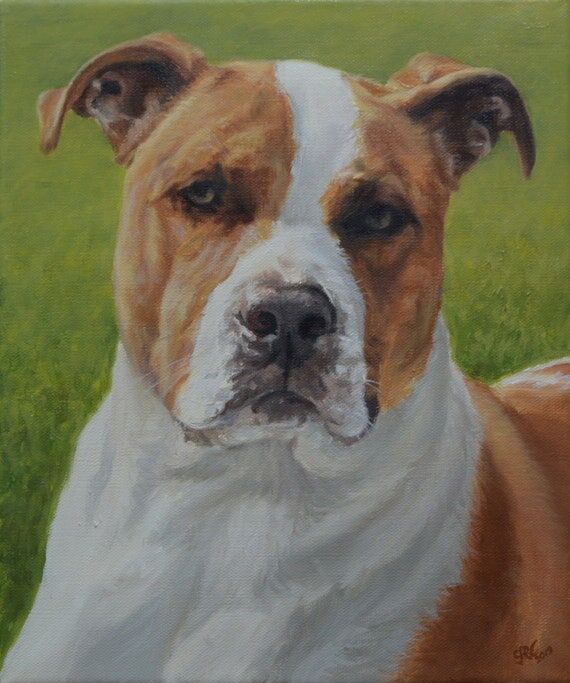 Custom pet portrait painting, Dog Portrait, D...