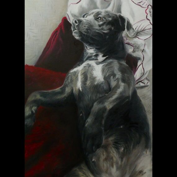 Pet portrait custom dog portrait - oil painti...