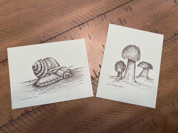 Notecard Set - Hand drawn - Mushroom and Snai...