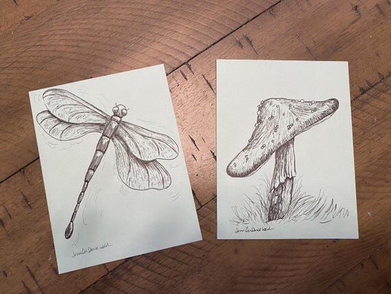Mushroom & Dragonfly Notecards - Hand Drawn -...