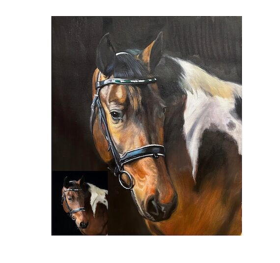Custom horse painting, Oil Portrait,custom po...